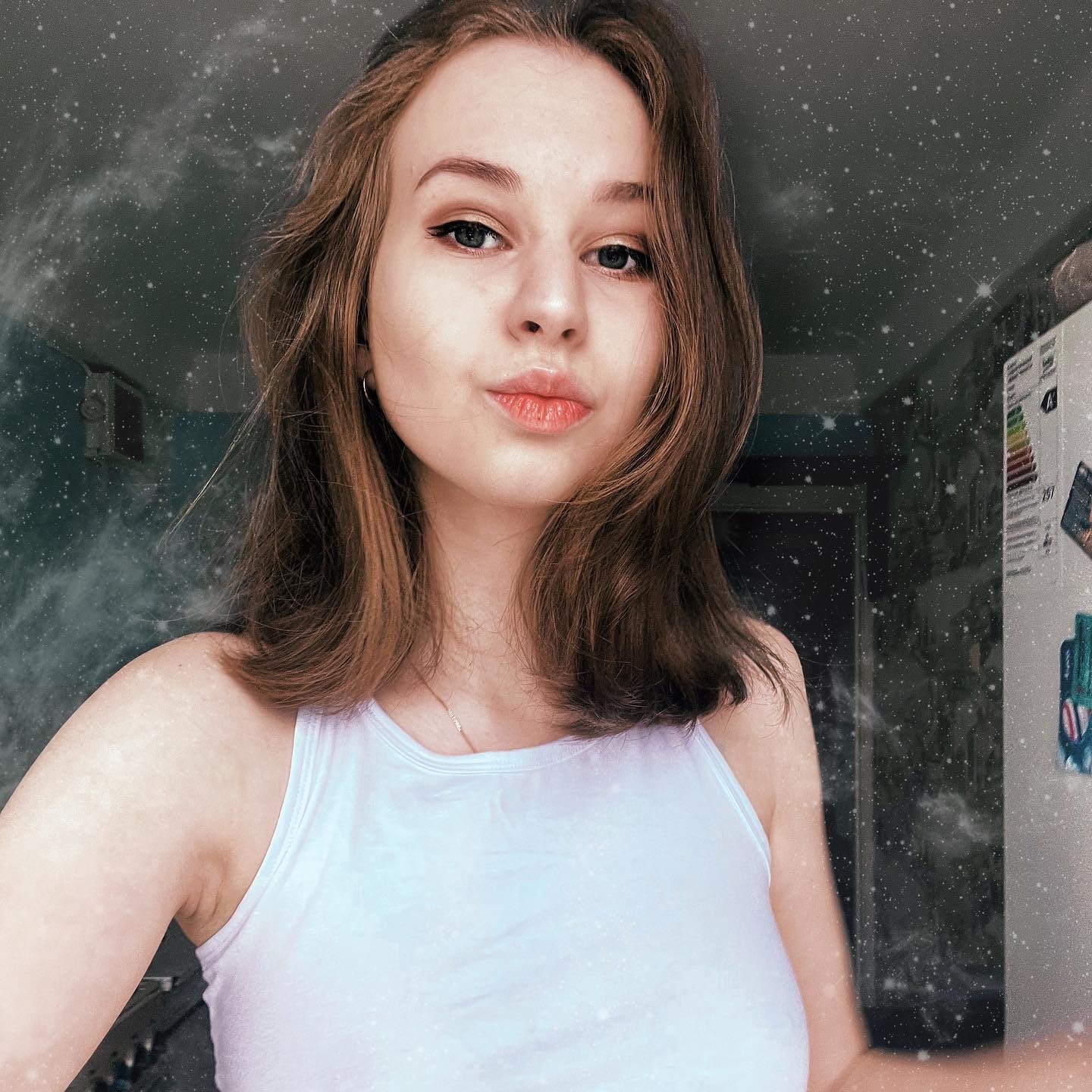 Anna Sibster: Complete Bio, Net Worth & Career 2025